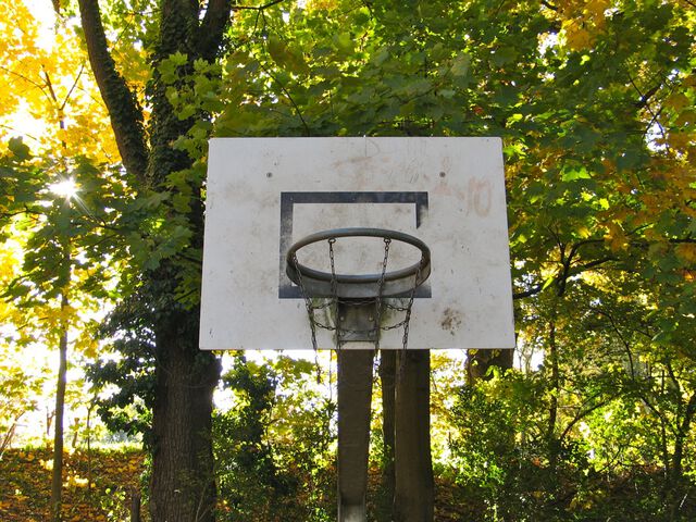 Tryptichon des Herbstes und des Laubs 1