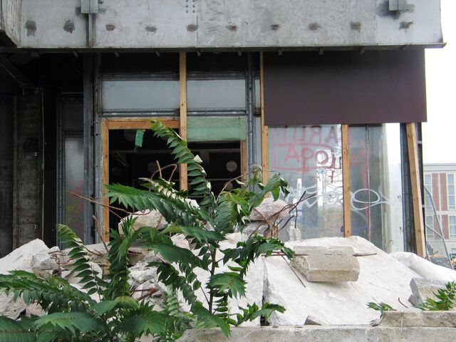 Ruinenidylle