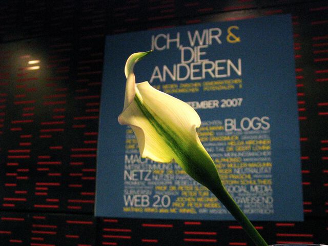 Die zarte Blüte des Web 2.0...