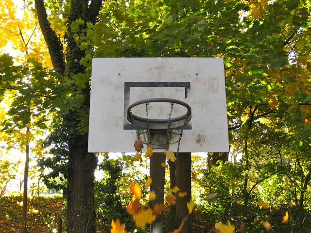 Tryptichon des Herbstes und des Laubs 3