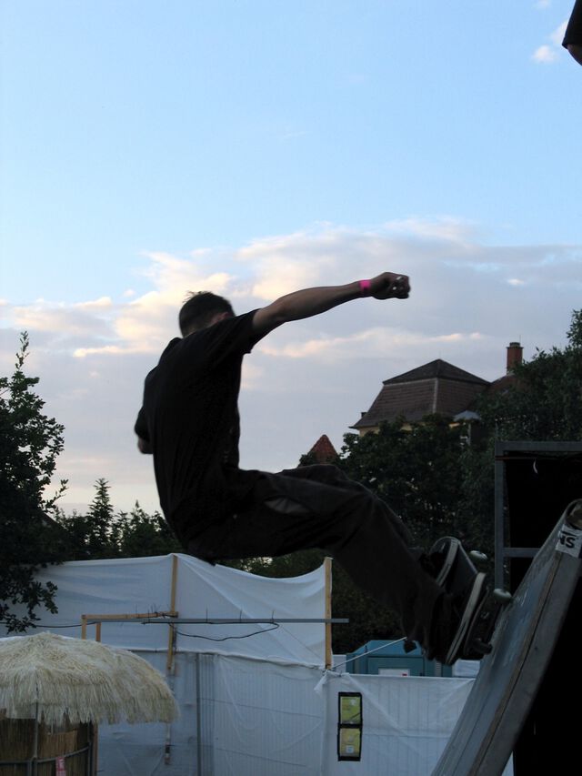 Das Fest 2007