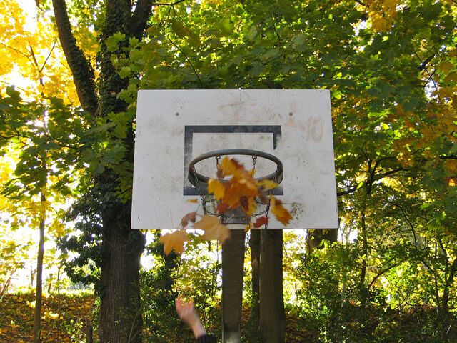 Tryptichon des Herbstes und des Laubs 2