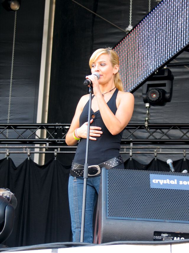 Das Fest 2007: Triband