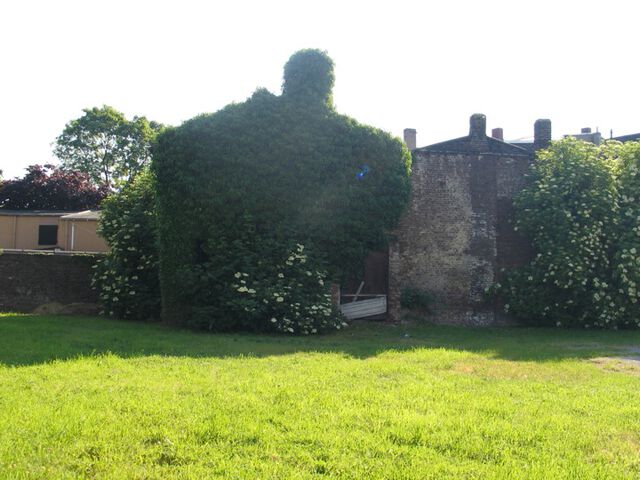 Willich, Haus, bewachsen!