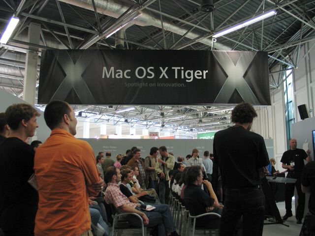 Tiger erklärt