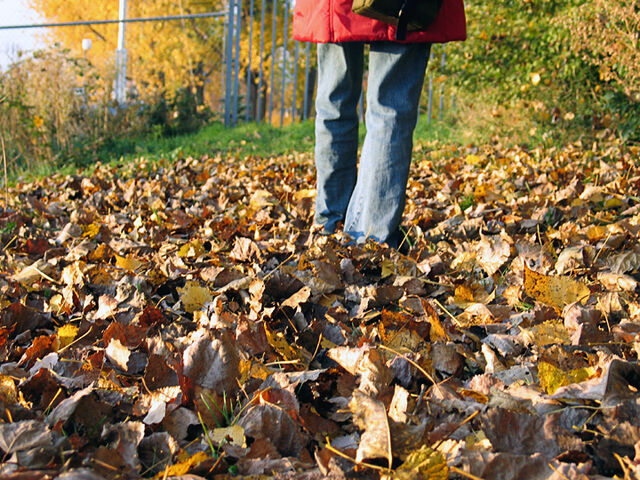Herbst / Autumn