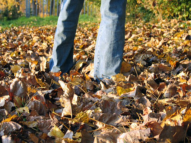 Herbst / Autumn