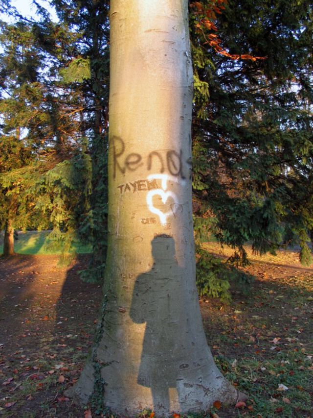 Rena und ein Schatten