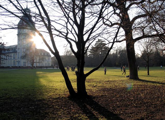 Wintersonne