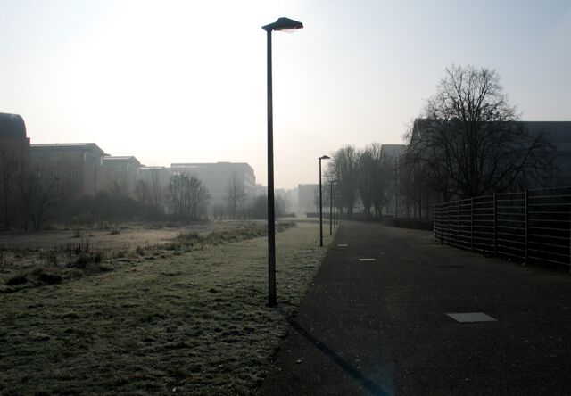 Winter