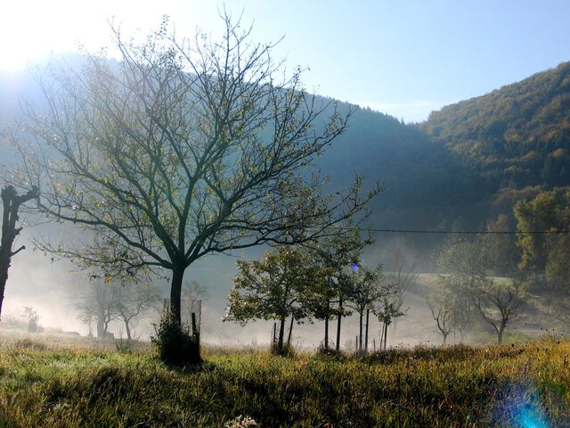 Herbst!