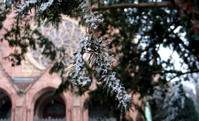 Immer noch Winter