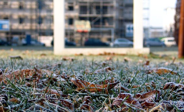 Winterwiese I