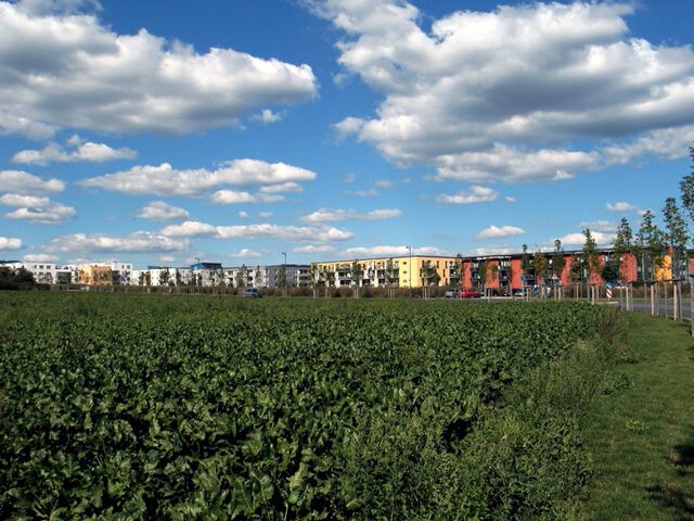 Wiesbaden, Sauerland
