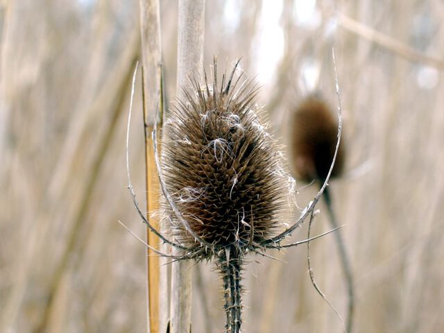 Mal wieder: Unmotivierte Naturfotografie