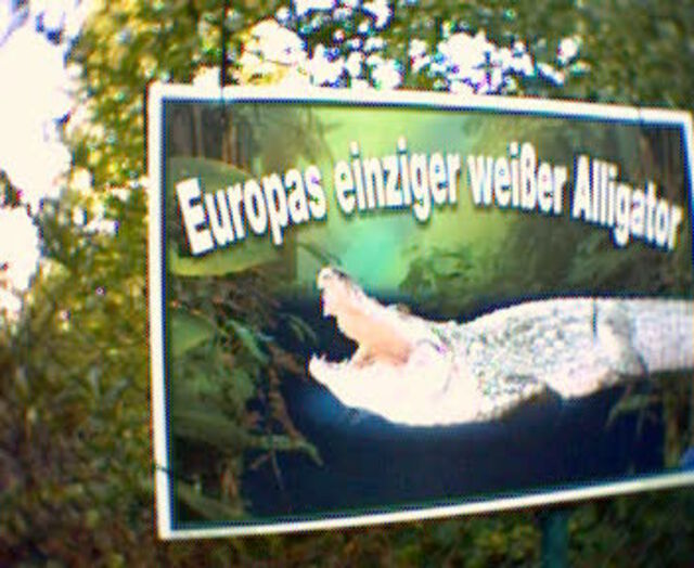 Den wähle ich!