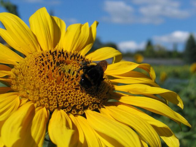 Unmotivierte Naturfotografie 2