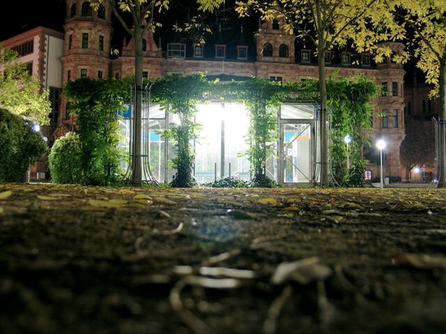 Verwunschener Platz