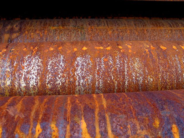 Rost