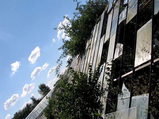 Gewächshaus