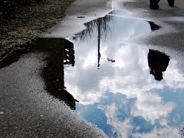 Nach dem Regen / After the rain