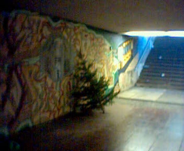 Moblog-Morgen I