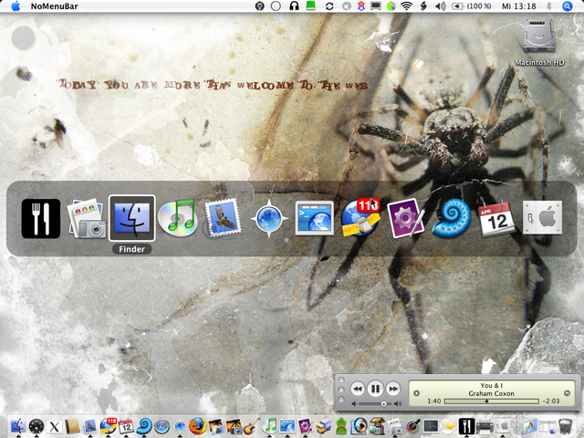 A Spider!