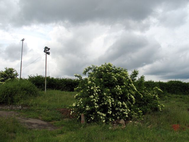 Fludlicht in der Nordkurve
