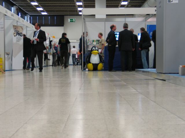 Einsamer Pinguin am Mittwoch