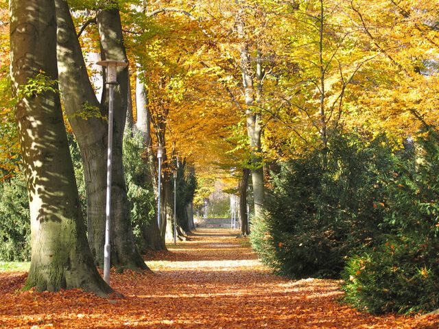 Herbst