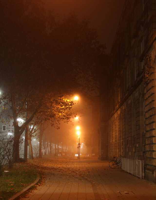 Nebel-Abend