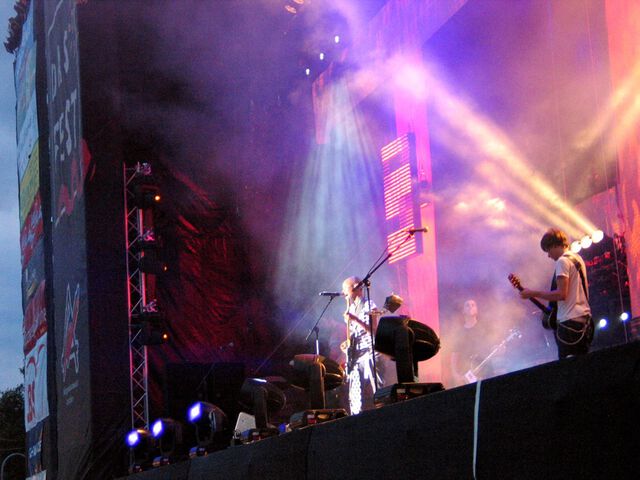 Das Fest 2006 - Skin