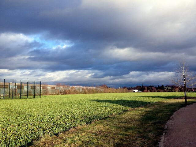 weites land am niederrhein