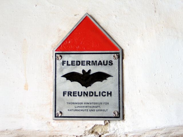 Fledermausfreundlich