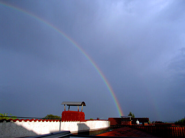 Abendliche Regenbogen-Idylle mit weißem Vogel.